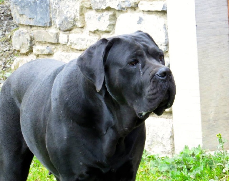 Publication : Basil'Evidenza Auteur : Marie Verdin