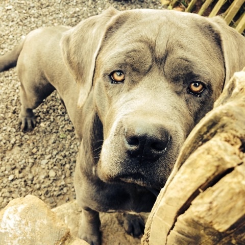 Publication : Basil'Evidenza