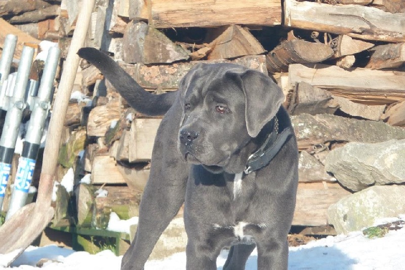 Publication : Basil'Evidenza