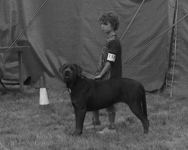 Publication : Basil'Evidenza