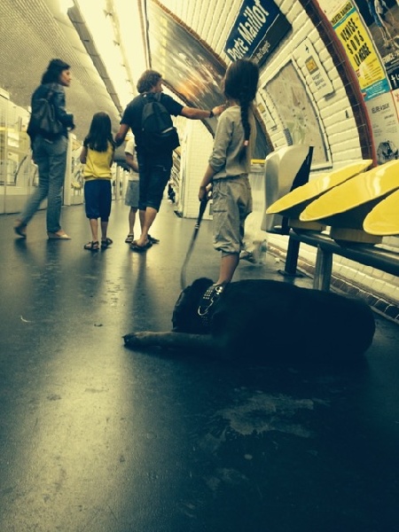 Publication : Basil'Evidenza