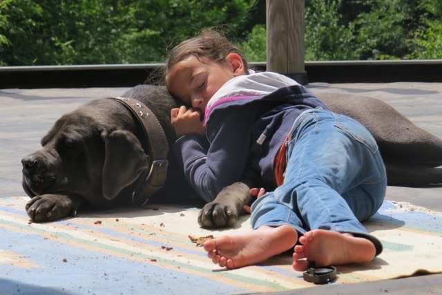 Publication : Basil'Evidenza