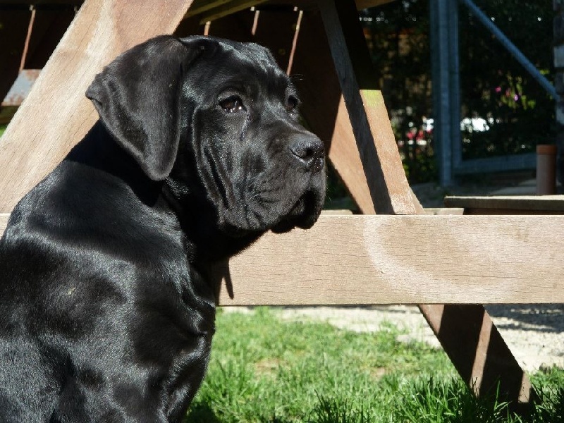 Publication : Basil'Evidenza Auteur : Marie Verdin