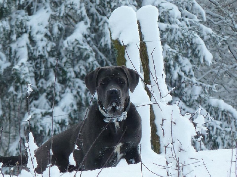 Publication : Basil'Evidenza