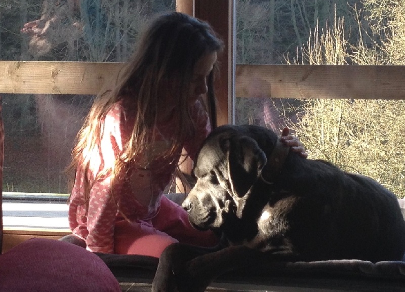 Publication : Basil'Evidenza