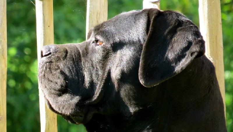 Publication : Basil'Evidenza Auteur : Marie Verdin