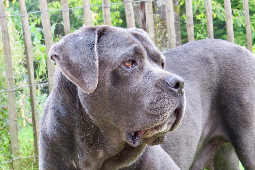 Publication : Basil'Evidenza