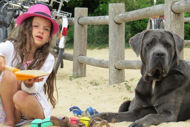 Publication : Basil'Evidenza