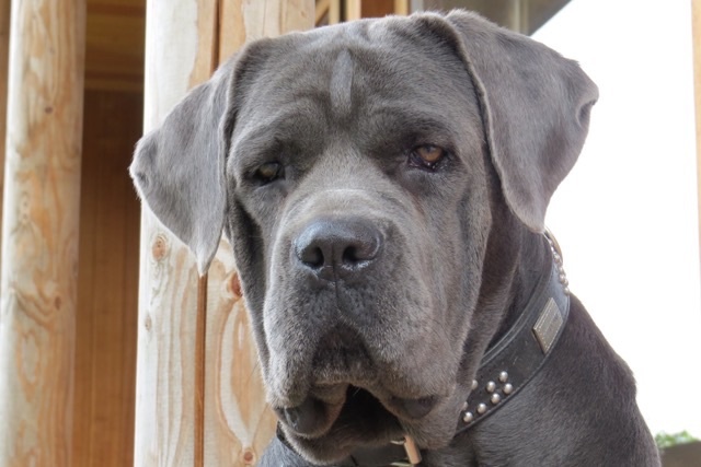 Publication : Basil'Evidenza