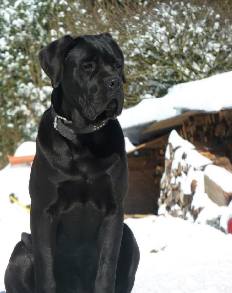 Publication : Basil'Evidenza Auteur : Marie Verdin