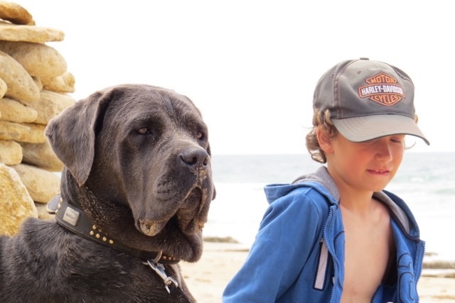 Publication : Basil'Evidenza