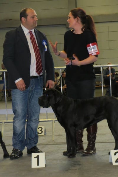 Basil'Evidenza Ladinblack - 2ème excellent