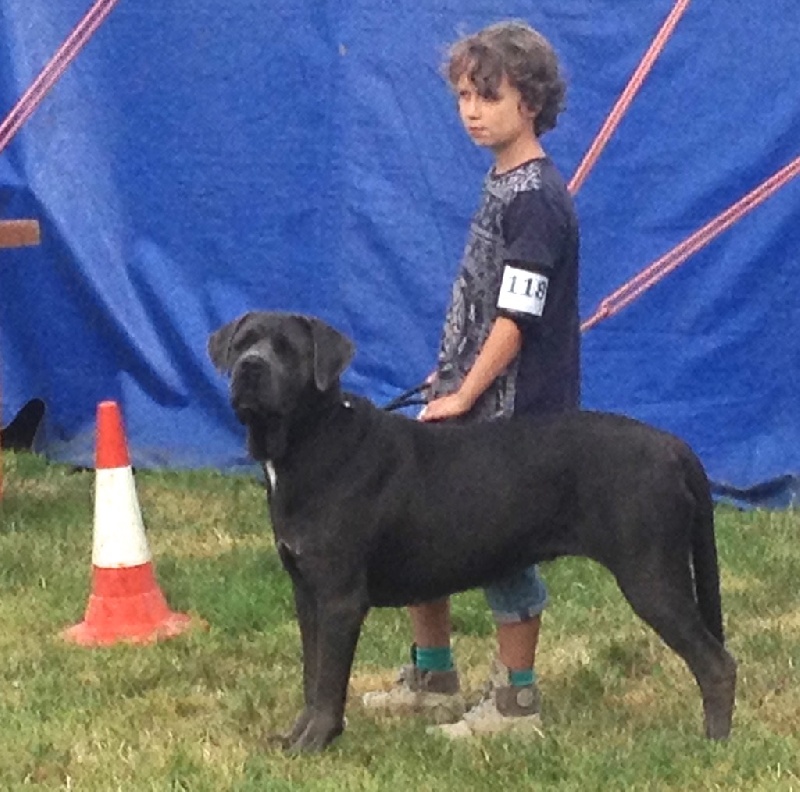 Basil'Evidenza Lazydoll - Très Bon