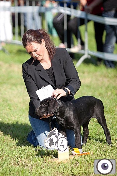 Basil'Evidenza Ladinblack - 4ème Très Prometteur (Baby)