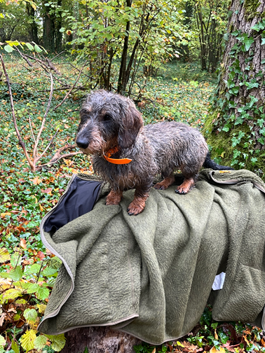 Vivo Per Leï de la roselière solitaire