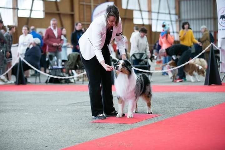 Jch lux. néo blue jewel Du Domaine Du Boisgeloup