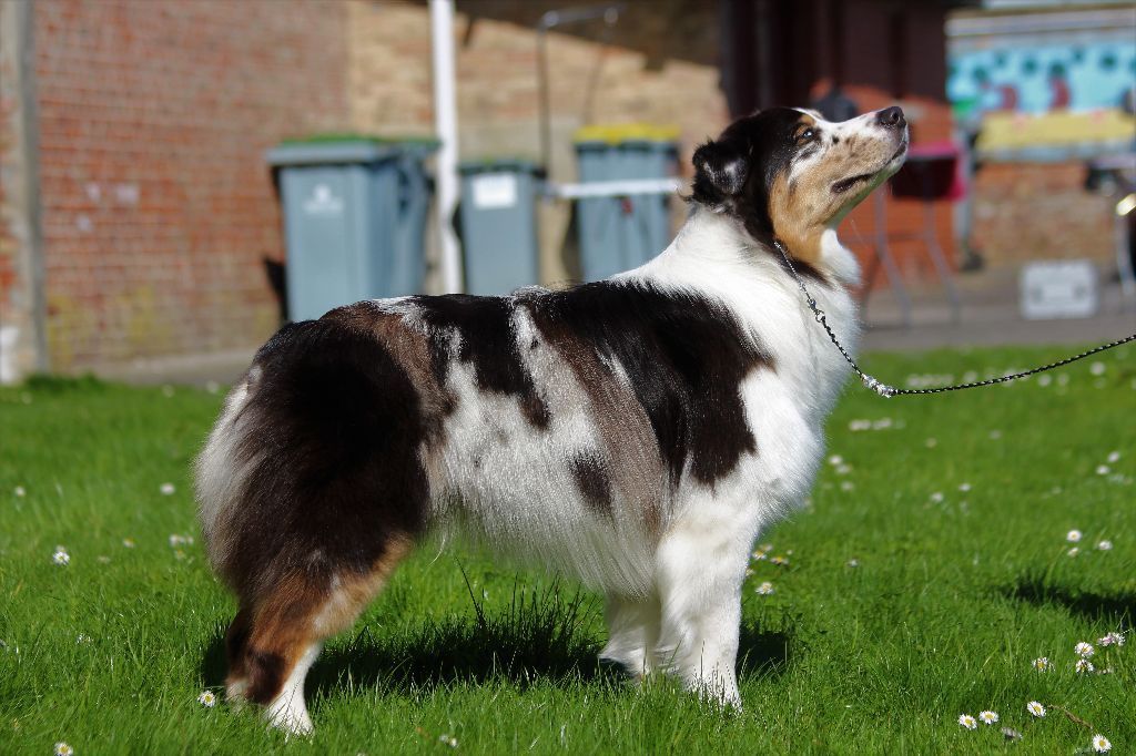 Sr my blueberry flavour's remember dit mango Du Domaine Du Boisgeloup