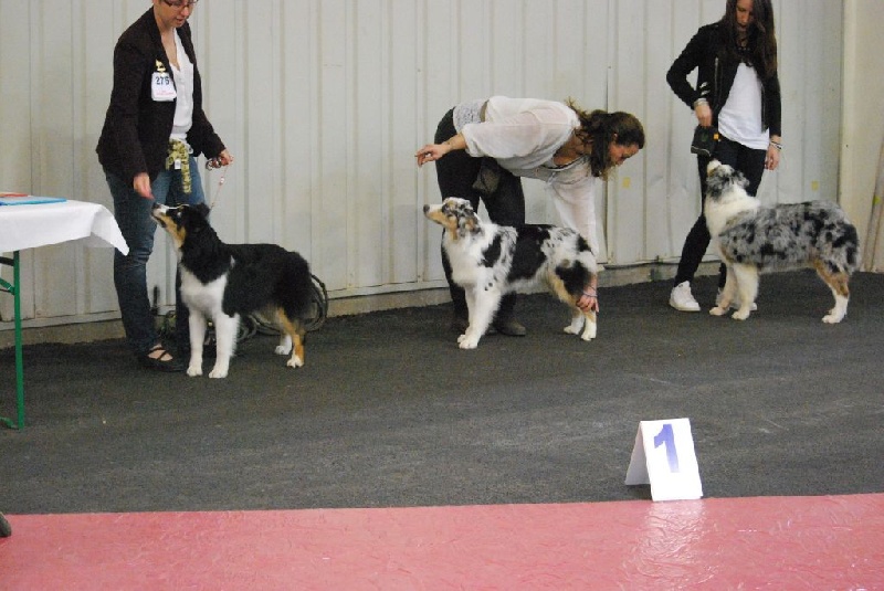 Maya Du Domaine Du Boisgeloup - 4ème très prometteur/7