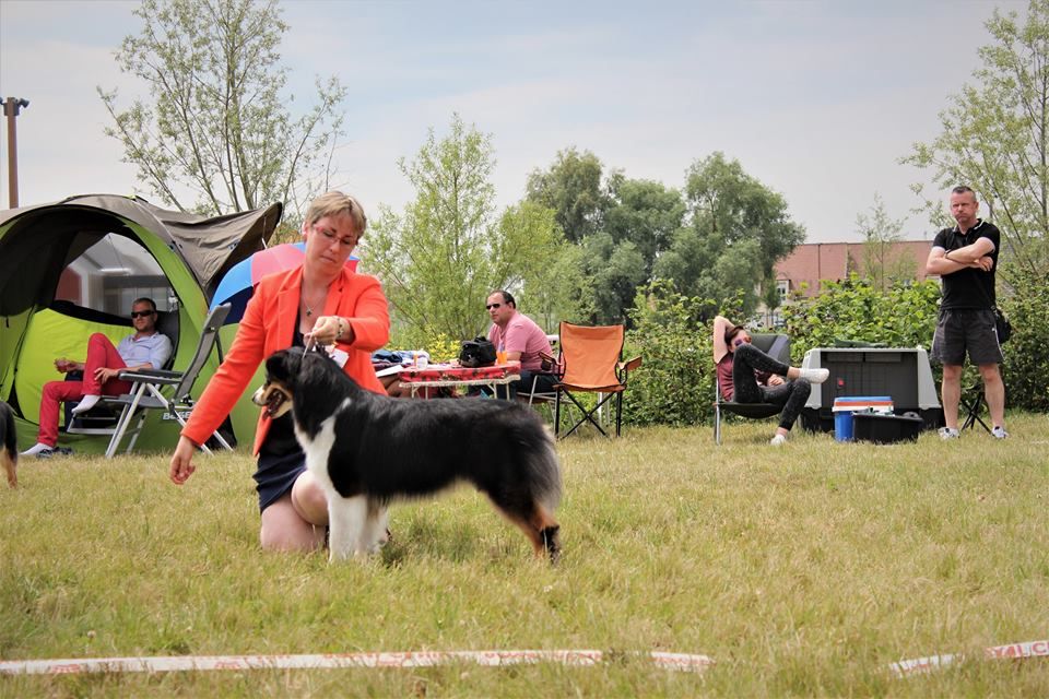 Maya Du Domaine Du Boisgeloup - 2ème excellent/4 - classe jeune