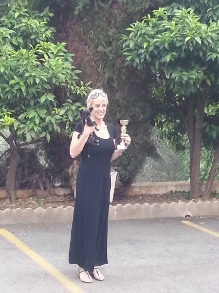 Java d'Acca Larentia - COUP DE COEUR DU PRESIDENT