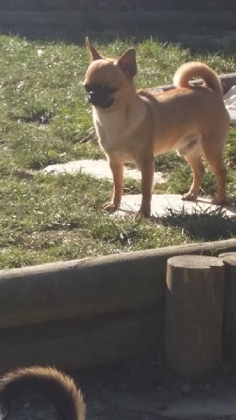 Publication : Du Clos Shooting Star Auteur : besserve marine