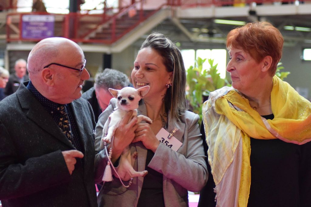 Mahina Du Clos Shooting Star - BOB baby (meilleur de race baby)sur 10 femelle et 9 males