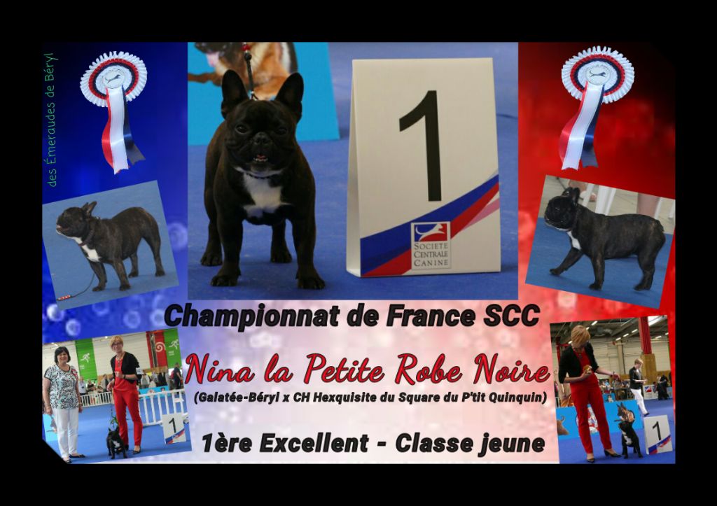 CH. Nina la petite robe noire Des Emeraudes De Béryl - 1ère Excellent