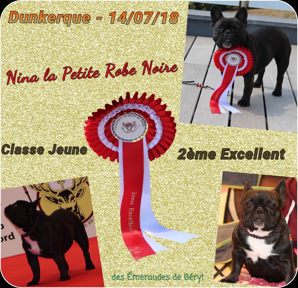 CH. Nina la petite robe noire Des Emeraudes De Béryl - 2ème Excellent