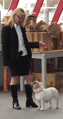 Galatée-béryl (Sans Affixe) - 2ème excellent - RCACS - CL Ouverte