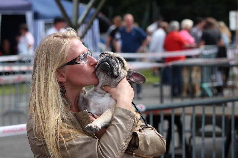 Beryl des Bourbon D'Allier - 2ème très bon - CL Ouverte