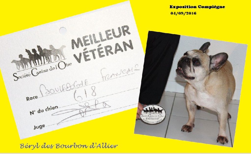 Beryl des Bourbon D'Allier - 1ère Excellent - Meilleure Vétéran (CL Vétéran)