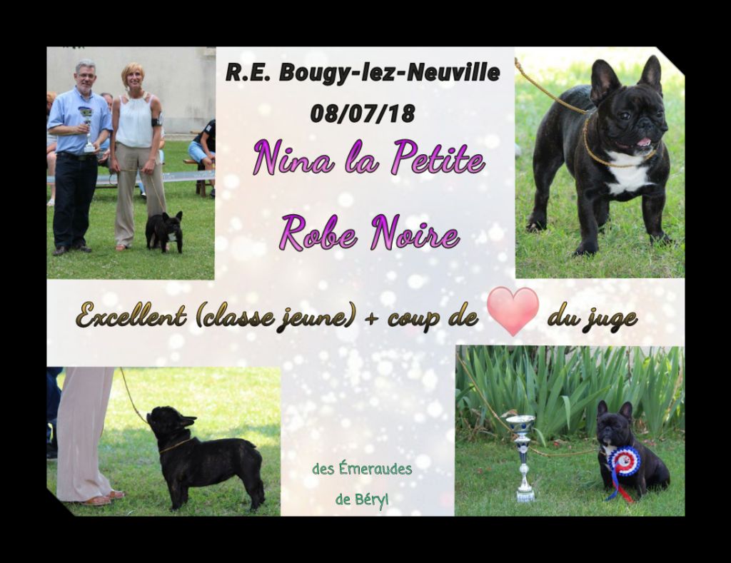 CH. Nina la petite robe noire Des Emeraudes De Béryl - Excellent + Confirmation + Coup de coeur du juge classe Jeune