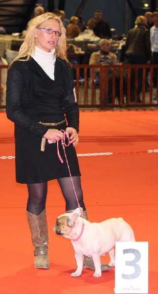 Galatée-béryl (Sans Affixe) - 3ème excellent - CL Intermédiaire