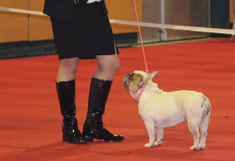 Galatée-béryl (Sans Affixe) - 3ème excellent - CL Ouverte