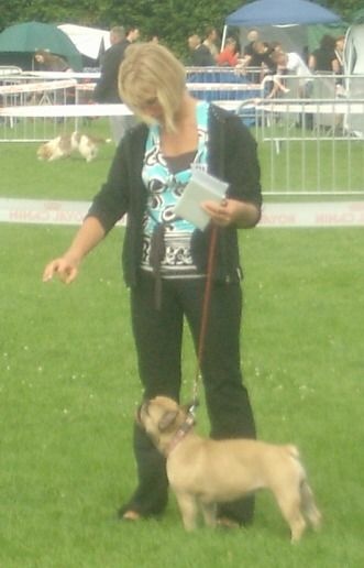 Beryl des Bourbon D'Allier - 4ème excellent + Confirmation - CL Intermédiaire