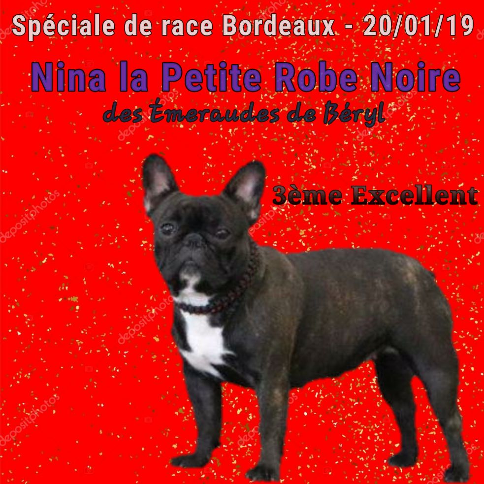 CH. Nina la petite robe noire Des Emeraudes De Béryl - 3ème Excellent - CI