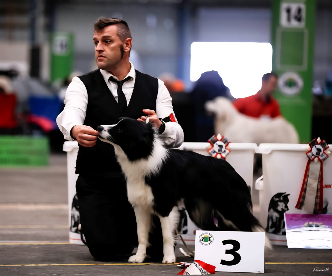 Publication : De La Légende De Jupiter