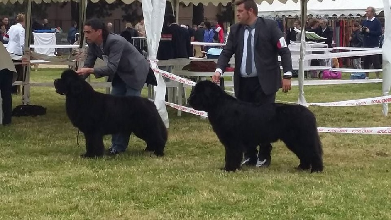 Ice cream des passagers du vent - 1 ere exc cof cacs bos