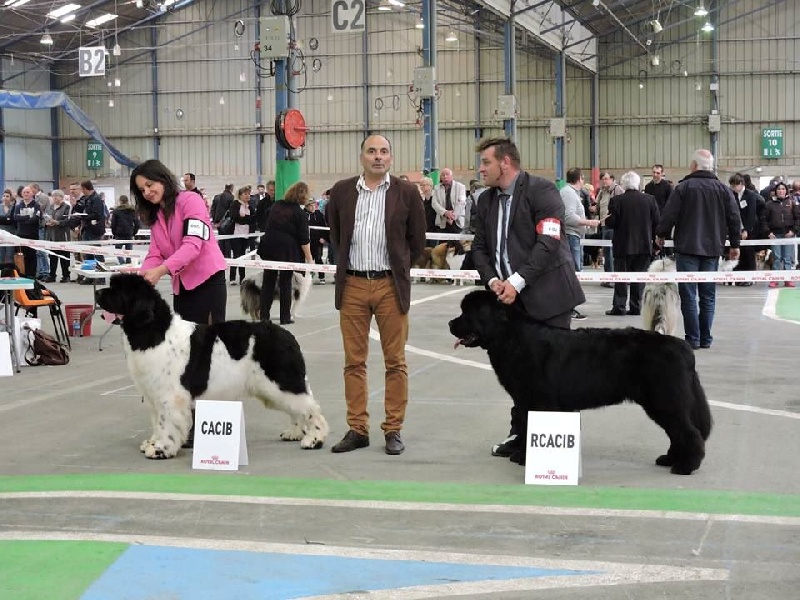 Ice cream des passagers du vent - 1 ere exc COF CACS RCACIB