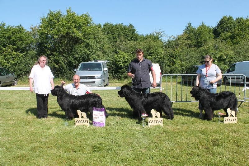 Ice cream des passagers du vent - 2 ème excellent cfm