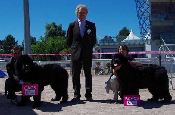 Ice cream des passagers du vent - 1 ère exc COF CACS