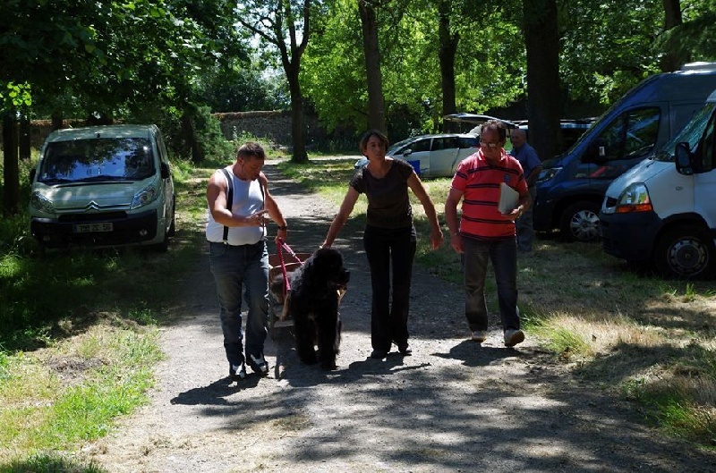 Ice cream des passagers du vent - TAN 29/30