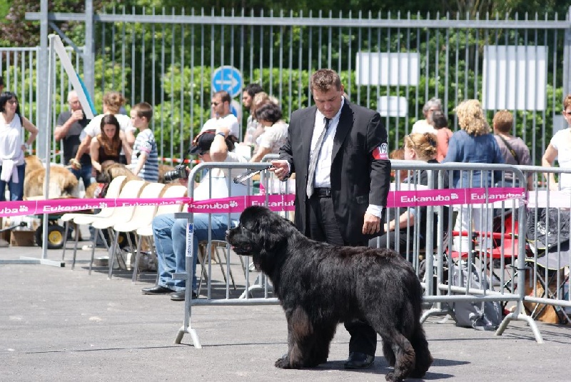 Ice cream des passagers du vent - 3 ème Excellent classe jeune femelle