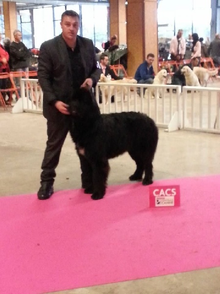 Ice cream des passagers du vent - 1 ère excellent CACS meilleur de sexe opposé