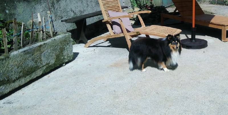 Publication : Des Doudous De La Grave Auteur : SCF - ENE Le Blanc (Karin Dupuy)