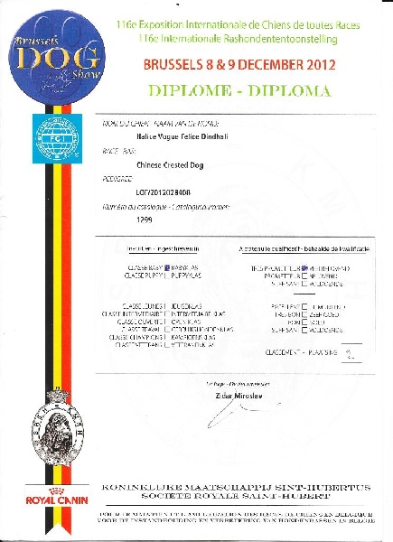 Dindhali halice dîndhali vogue félice - Très prometteur