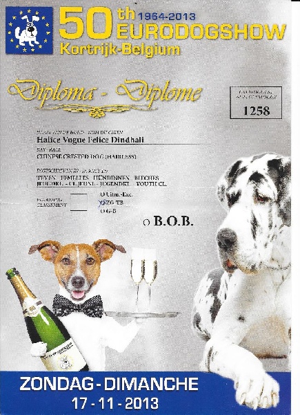 Dindhali halice dîndhali vogue félice - Très bon