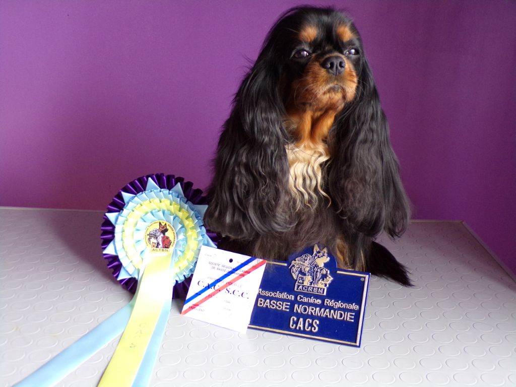 Jezabelle De La Feerie De Broceylande - Classe ouverte : 1ère Excellent avec le : CACS