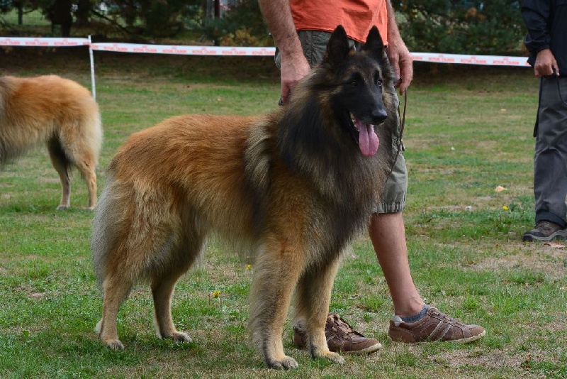 TR. Grim (Sans Affixe) - 8e exc Sujet recomandé