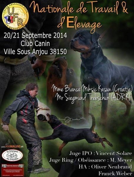 Chien Rottweiler Jähzornig darth vader Vom Hause Cervo